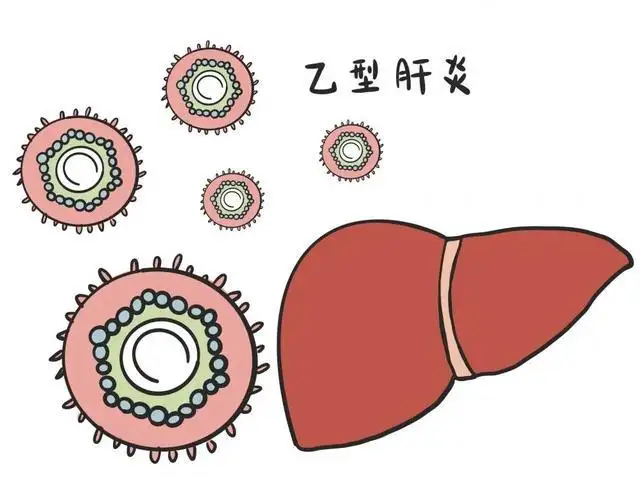 男朋友有乙肝接吻能傳染我嗎？